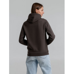 Толстовка с капюшоном Snake II темно-серая