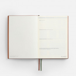 Ежедневник Avila, недатированный, зеленый