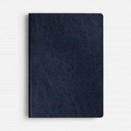 Ежедневник Doppio, недатированный, синий с голубым