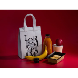 Термосумка «Термобэг» на заказ, M