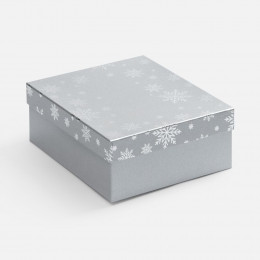 Коробка Wintry, серебристая