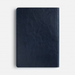 Ежедневник Doppio, недатированный, синий с голубым