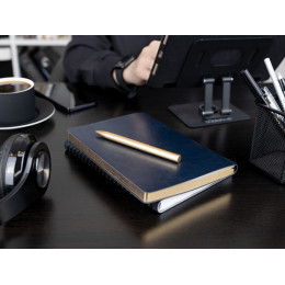 Ручка шариковая Superbia, золотистая