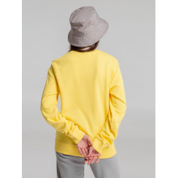 Панама Bizbolka Challenge, серая