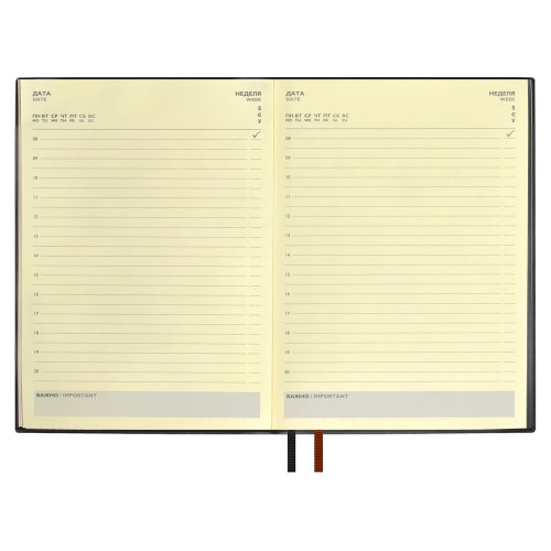 Ежедневник Avila, недатированный, черный