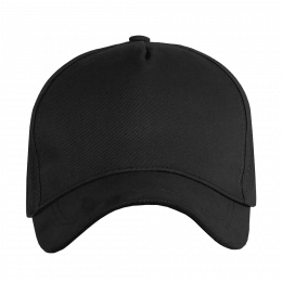 Бейсболка STAN 5 клиньев хлопок, 260, 112