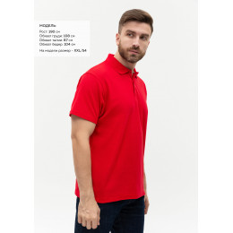 Рубашка поло мужская STAN хлопок/полиэстер 185, 04