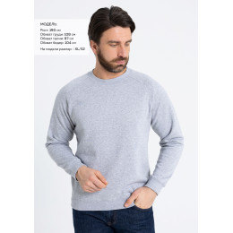 Свитшот унисекс STAN футер с начёсом 260, 53