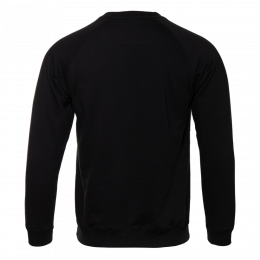 Свитшот унисекс STAN футер с начёсом 260, 53