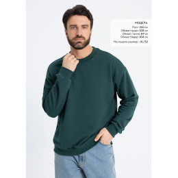 Свитшот унисекс STAN футер без начёса, 350, 96