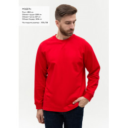 Свитшот унисекс STAN футер с начёсом 220, 60