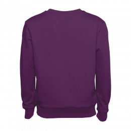 Свитшот детский STAN футер без начёса, 260, 63J