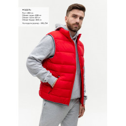 Жилет мужской STAN утепленный таффета 210T,65, 82