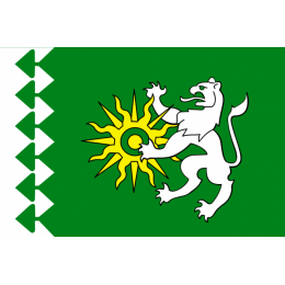 Флаг Берёзовского