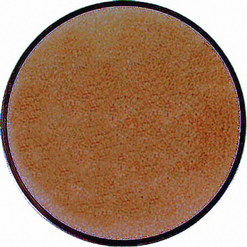 Жетон Пустышка (д.25) A129/B