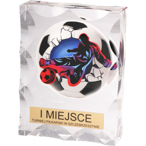 Награда хрустальная Футбол (12*9) KR12090/SOC