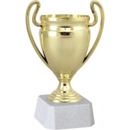 Кубок 9618C (16см)