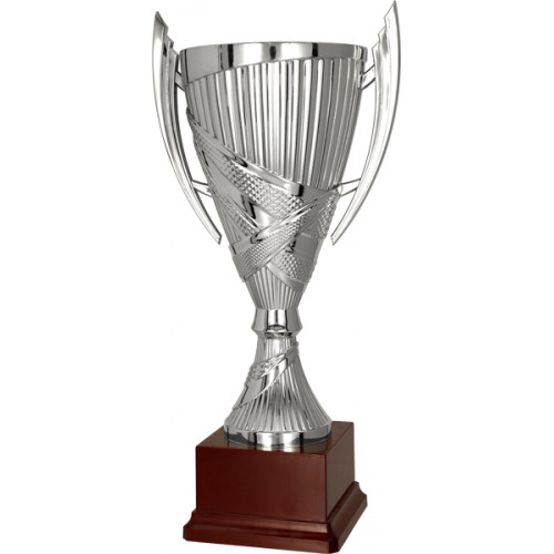 Кубок 7180C (27.5 см) D-100