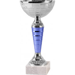 Кубок 9105C (25см) D-120