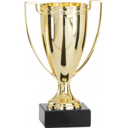 Кубок 9017B (17см)