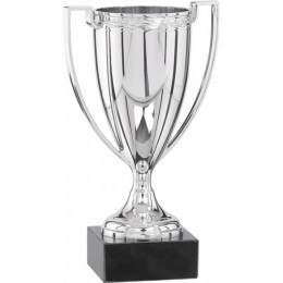 Кубок 9025/S (20см)