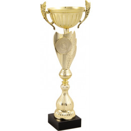 Кубок 7607C (42см) D-120