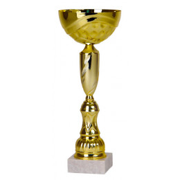 Кубок 9621E (25 см) D-80