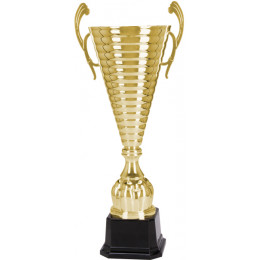 Кубок 1049C (61см) D-220