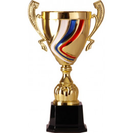 Кубок 2004D Триколор (41 см) D-160