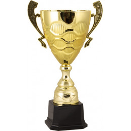 Кубок 2010A (59,5 см) D-240