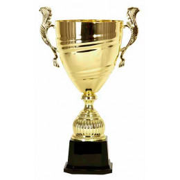 Кубок 3532E (31 см) D-120