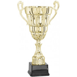 Кубок 3003C (39см) D-160