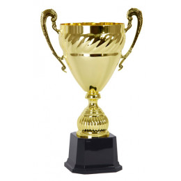 Кубок 3533E (25 см) D-100