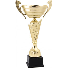 Кубок 4011-N/B (42см) D-160