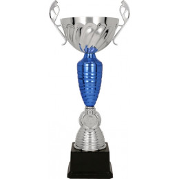 Кубок 3142D (34см) D-120