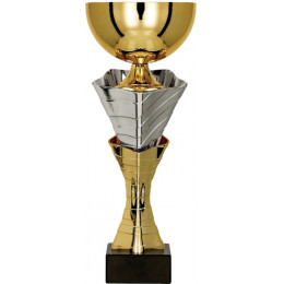 Кубок 4218C (30см) D-120