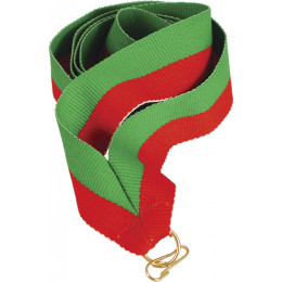 Лента (шир.22 мм)  V2-GN/R