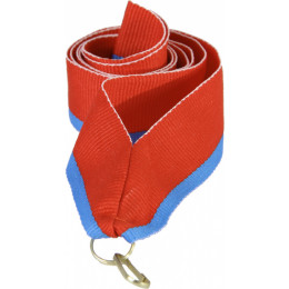 Лента (шир.10 мм) V8-R/LBL Алтай