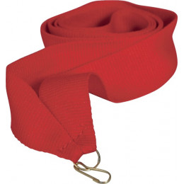 Лента (шир.22 мм)  V2-RD