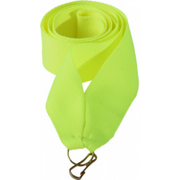 Лента (шир.22 мм)  V2-LIME