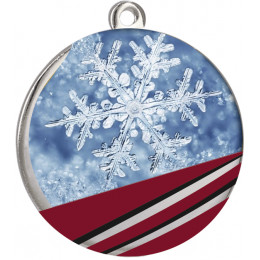 Медаль MMC7070/S/WIN